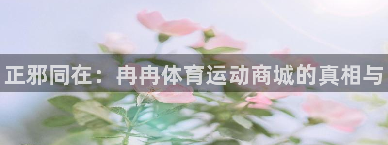 3377体育官网下载开户：正邪同在：冉冉体育运动商城