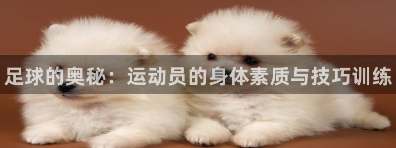 德国3377体育官方正版app集团：足球的奥秘：运动