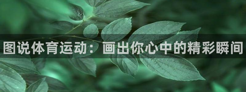 3377体育官方正版app神州：图说体育运动：画出你