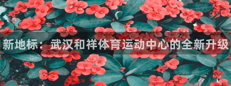3377体育官网下载平台注册要钱吗：新地标：武汉和祥