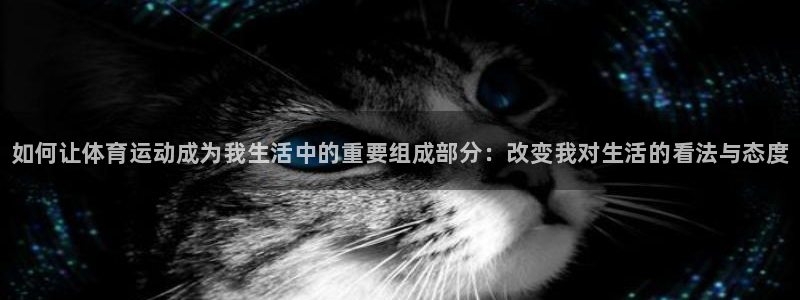 3377体育官方正版app五金厂：如何让体育运动成为