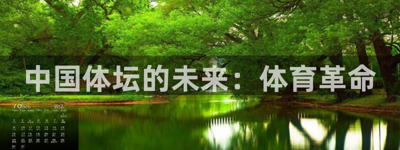 3377体育官网下载平台：中国体坛的未来：体育革命