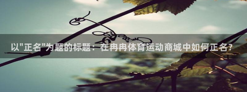 3377体育官方正版app神州：以\