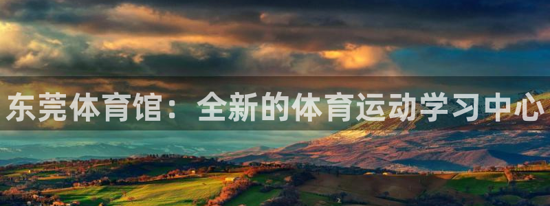 3377体育官方正版app开户：东莞体育馆：全新的体育运动学