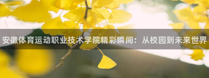3377体育官网下载是干嘛的公司：安徽体育运动职业技