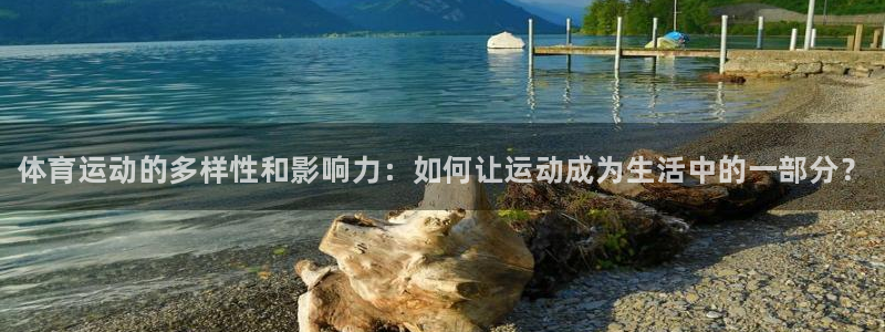 3377体育官方正版app娱乐：体育运动的多样性和影