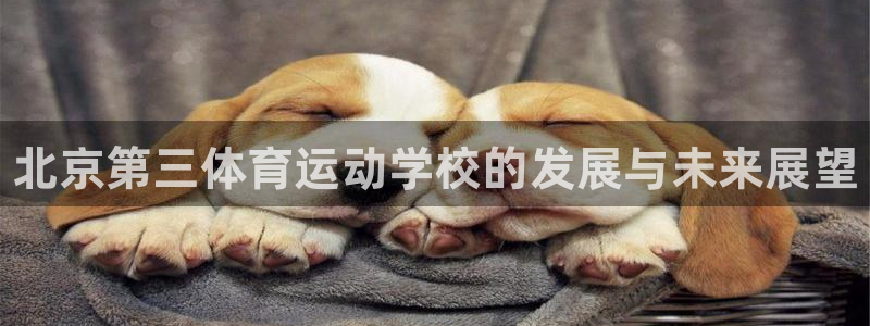 3377体育官网下载招商电话是多少号码：北京第三体育运动学校