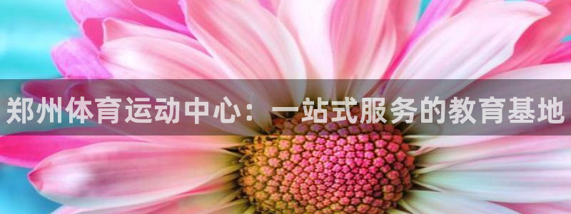 3377体育官网下载招商电话是多少号码：郑州体育运动
