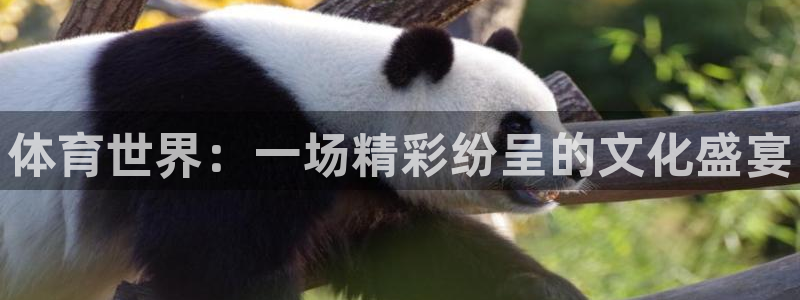 3377体育官网下载官方客服电话