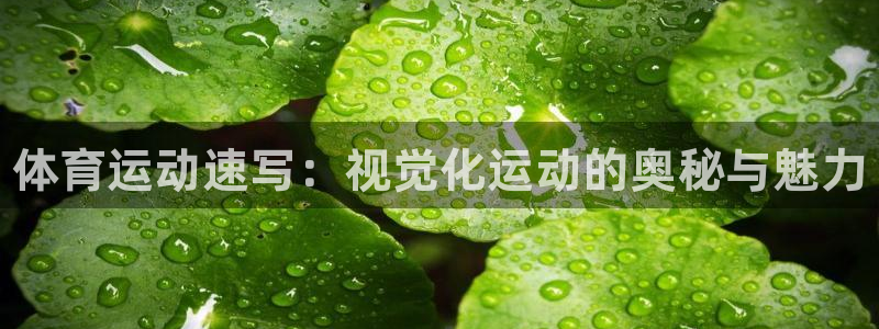 3377体育官方正版app集团E.ON：体育运动速写：视觉化