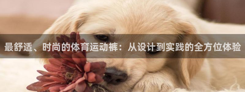 3377体育官网下载注册：最舒适、时尚的体育运动裤：
