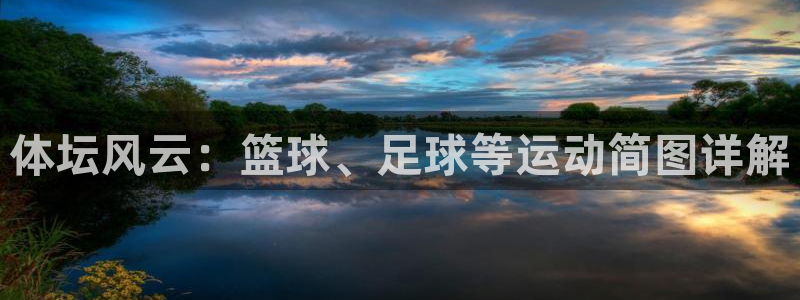 3377体育官网下载平台注册要钱吗：体坛风云：篮球、