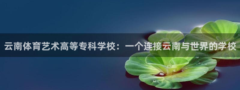 3377体育官网下载平台是正规平台吗：云南体育艺术高