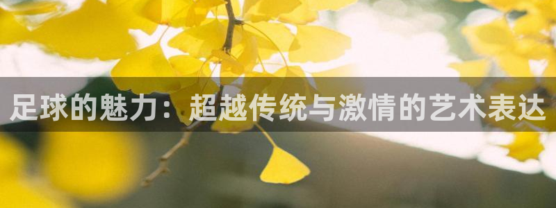 3377体育官方正版app五金厂：足球的魅力：超越传统与激情
