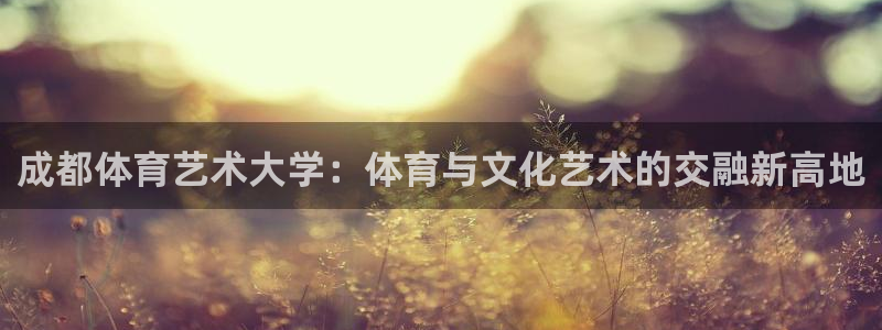 3377体育官方正版app娱乐首页网站大全：成都体育艺术大学
