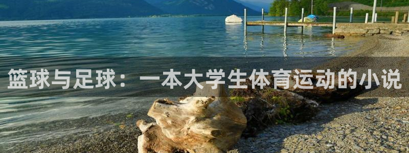 3377体育官网下载招商电话号码是多少啊：篮球与足球：一本大