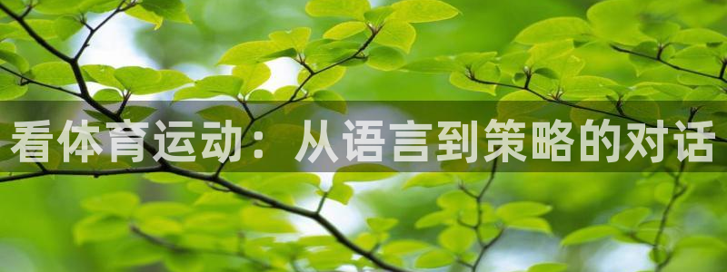 3377体育官网下载联系电话：看体育运动：从语言到策略的对话