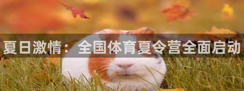 3377体育官网下载招商电话地址查询