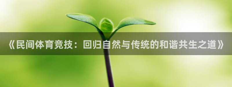 3377体育官方正版app新能源：《民间体育竞技：回归自然与