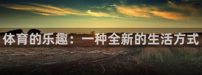 3377体育官网下载平台是正规平台吗安全吗：体育的乐趣：一种