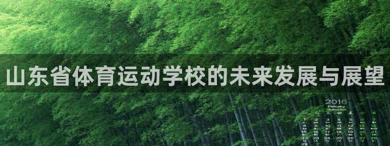3377体育官方正版app娱乐首页网站大全