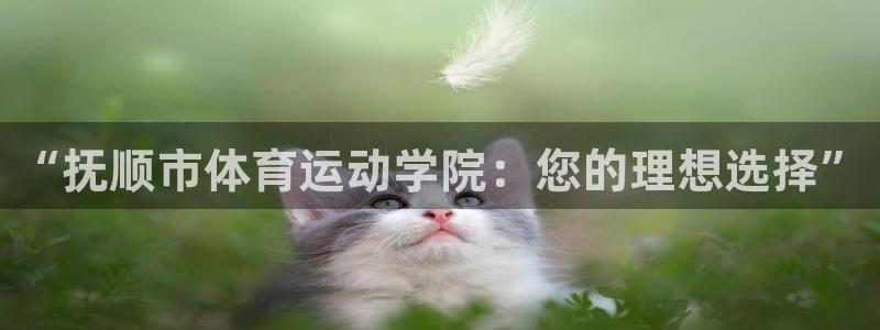 3377体育唯一官方网站：“抚顺市体