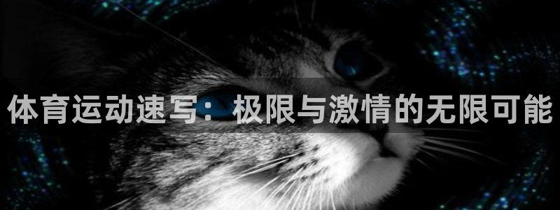 3377体育属于国家打击范围吗：体育