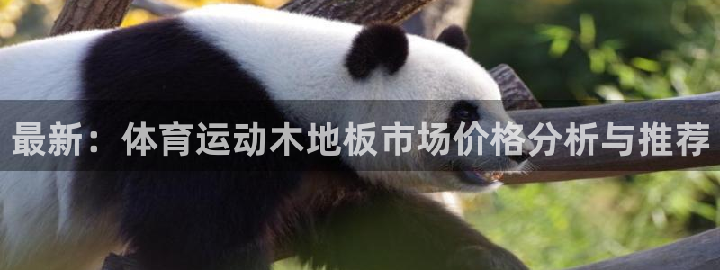 3377体育可信吗：最新：体育运动木地板市场价格分析与推荐
