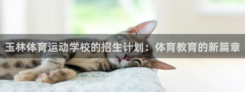 3377体育：玉林体育运动学校的招生计划：体育教育的新篇章