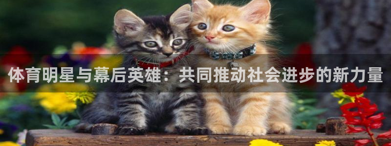  3377体育提款容易通过吗：体育明星与幕后英雄：共同推动社会