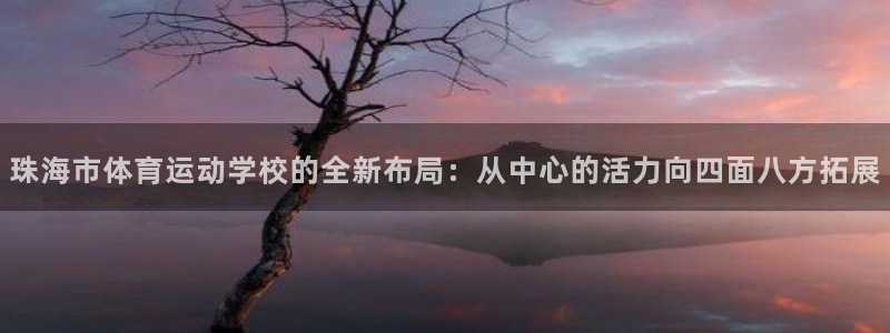 3377体育骗了多少人：珠海市体育运