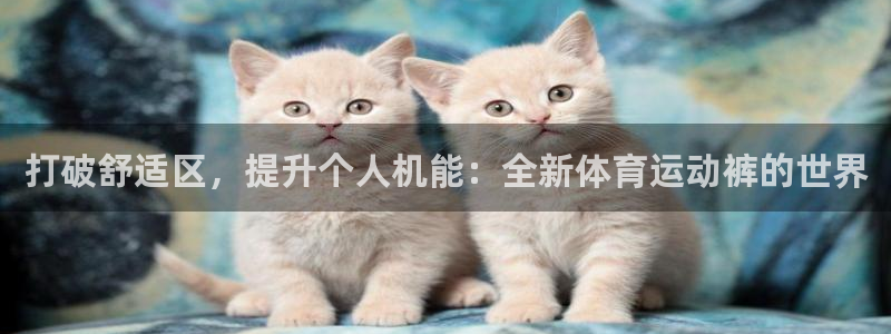 3377体育游戏：打破舒适区，提升个人机能：全新体育运动裤的