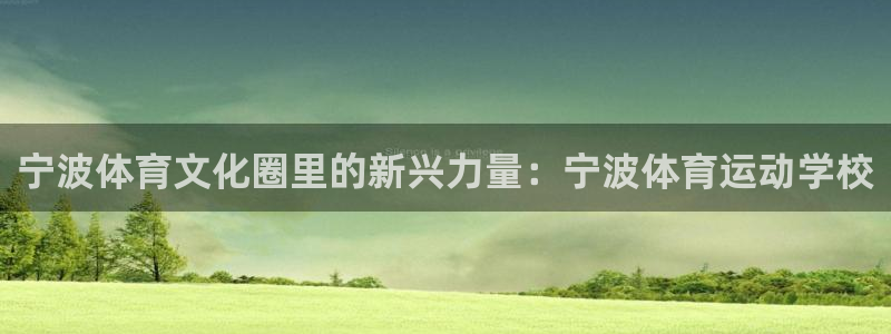  3377体育提款失败的原因分析：宁波体育文化圈里的新兴力量：