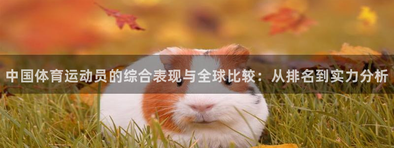 3377体育：中国体育运动员的综合表