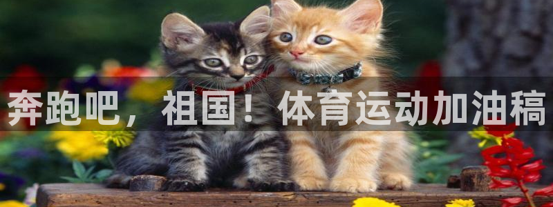 3377体育官方正版app开户：奔跑吧，祖国！体育运