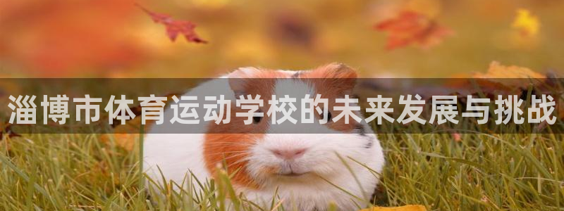 3377体育官方正版app集团：淄博市体育运动学校的未来发展