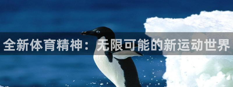 海南3377体育官网下载发展怎么样：全新体育精神：无限可能的